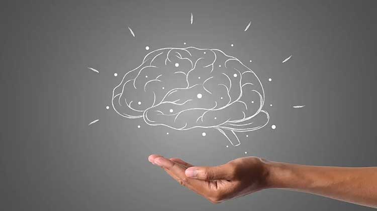 ذهن از نظر فروید