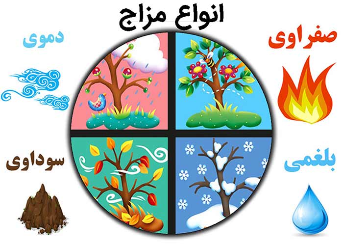 انواع مزاج
